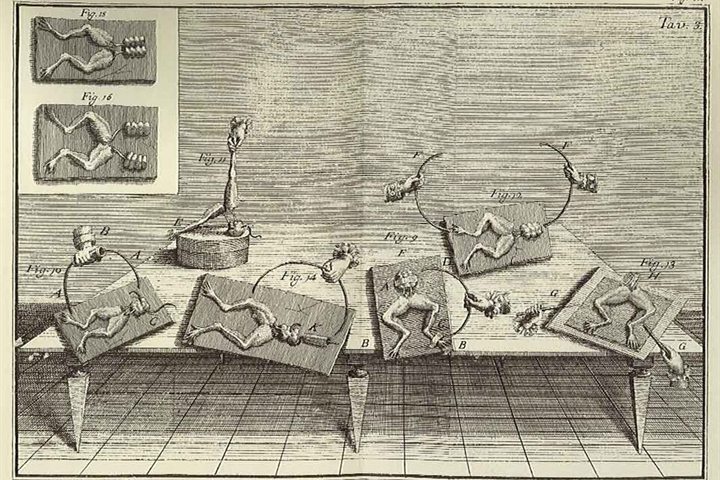 Luigi Galvani, frog preparations on the table, a plate from De viribus electricitatis in motu musculari, 1791
