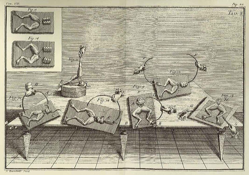 Luigi Galvani, frog preparations on the table, a plate from De viribus electricitatis in motu musculari, 1791