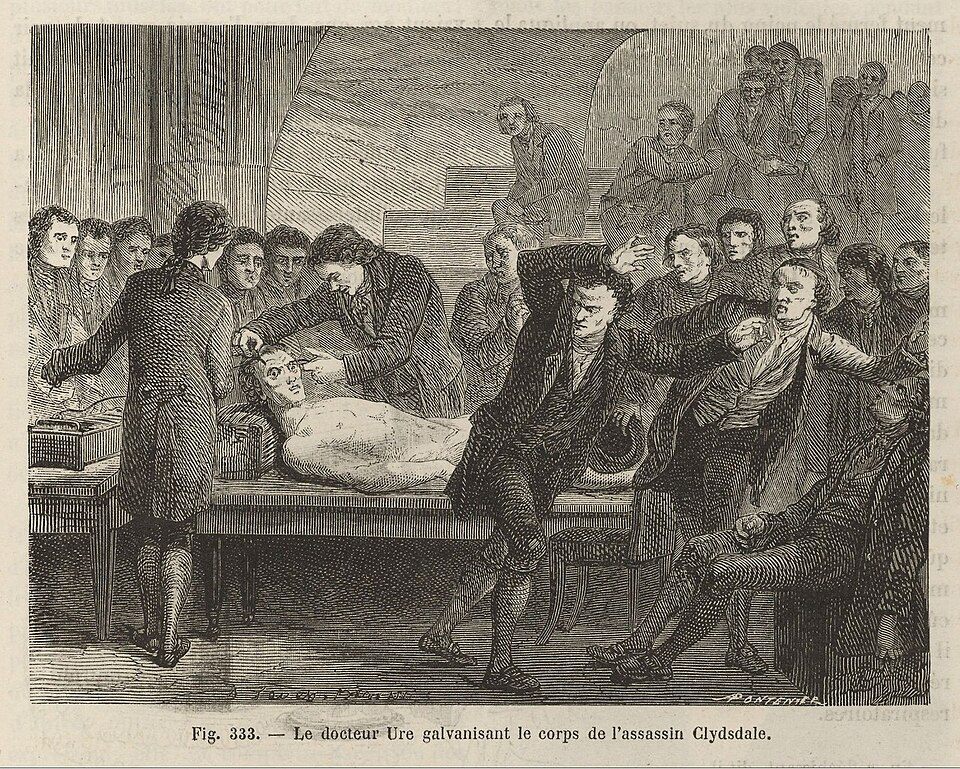 Louis Figuier, Les merveilles de la science, 1867, fig. 333: Dr Ure galvanising the body of the murderer Clydesdale