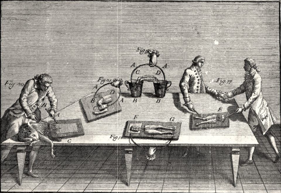 Luigi Galvani, plate IV from De viribus electricitatis in motu musculari, 1791